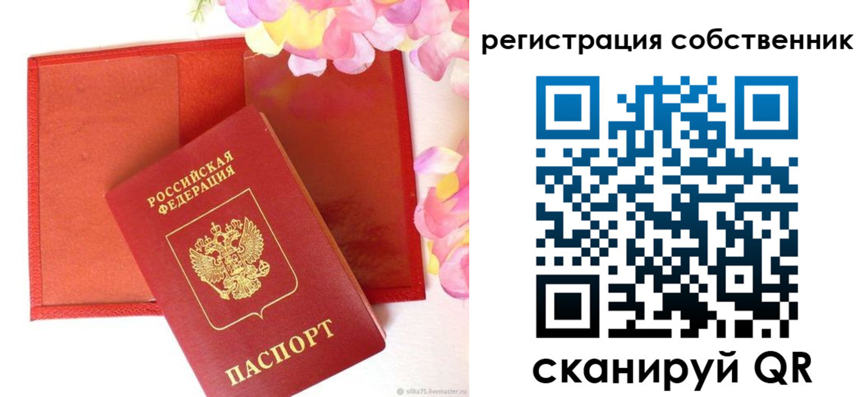 прописка 2025 в Чебоксарах